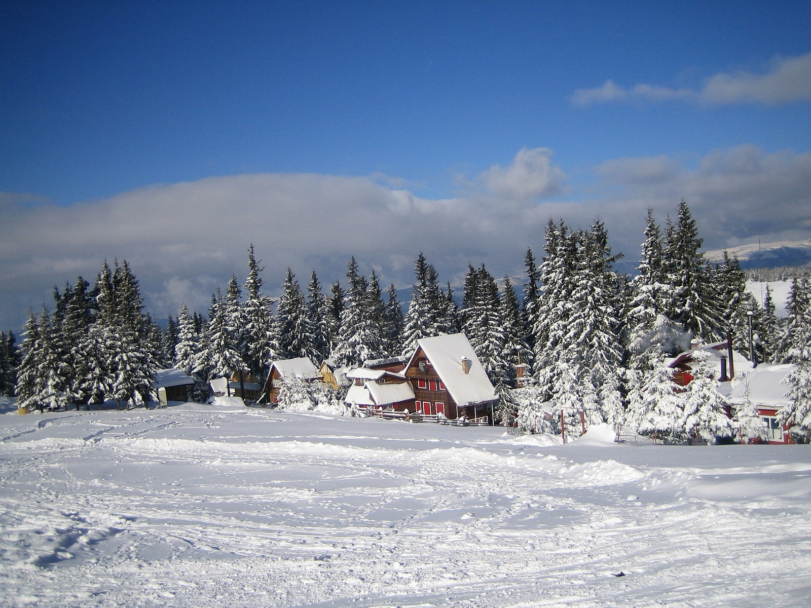 Cabane în stațiunea Parâng iarna